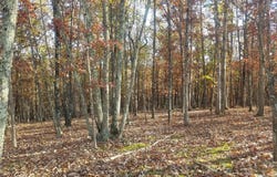 ACORN Lane, ROMNEY, WV 26757