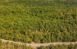 42 Allen, Vilonia, AR 72173