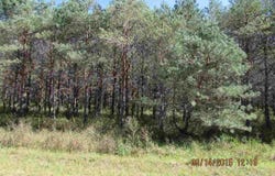 371 KLEEHAMMER CLUB DRIVE, KALKASKA, MI 49646