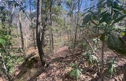 Turkey Creek Road, Natchez, MS 39120