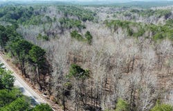 1 Highway 13, Nauvoo, AL 35575