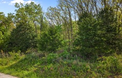 Country Trails Road, Conway, MO 65632