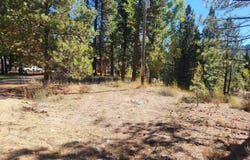 E River Drive, Featherville, ID 83647