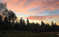 8 Tract Hall Creek, Helmville, MT 59843
