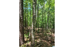 7218 COUNTY ROAD 26 lot: 10, WADLEY, AL 36276