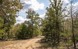 TBD FM 180 Road, Ledbetter, TX 78946