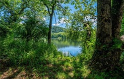 44 Island Road, Upper Mt Bethel Twp, PA 18343
