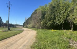 White Birch Trail, Charlotte, MI 48813