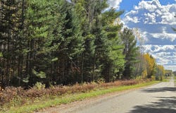 TBD 28.9 Rangeline Rd, Orr, MN 55771