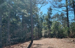 100 Sparrow Drive, Box Springs, GA 31801