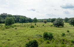 HIGHWAY 15, Downsville, LA 71234