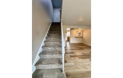 221 Chestnut St, Windsor, CO 80550