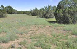 9184C Chimisa Ranch Rd, Show Low, AZ 85901