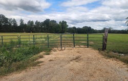 58 Rowell Road, Coldwater, MS 38618
