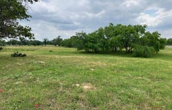 Settlement Way lot: 17, Luling, TX 78648