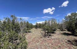 4519 N Centerline Boulevard, Ash Fork, AZ 86046