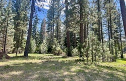 375 Eureka Springs Drive, Blairsden, CA 96103