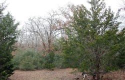 8729 E Fm 20 Highway, Dale, TX 78616