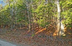 Bryant Road lot: 3-1, Unity, ME 04988