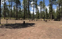 1925 FLOWER SPRING Trail, Flagstaff, AZ 86005