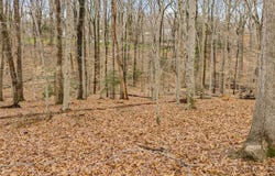 11240 Turnley Lane, Chesterfield, VA 23113