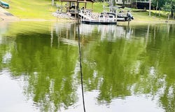 Lake Drive, Leesville, SC 29070