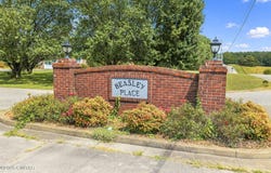 Deerhaven Drive, Lexington, TN 38351