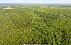 80+/-AC Arthur Lowe Rd, Lumberton, MS 39455