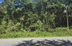 E Bayou Forest Dr, Freeport, FL 32439