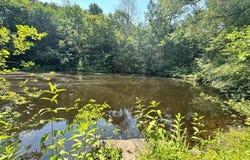 1.5 Wart Rd., Orwell, NY 13426