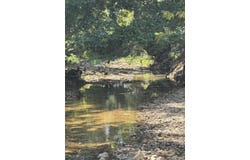 County Road 534, Ellington, MO 63638