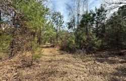 CR 2343 & CR 2339, Douglassville, TX 75560