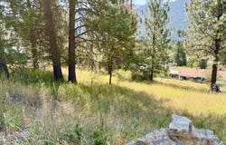 NKA Upper Drive lot: 9, Osburn, ID 83849