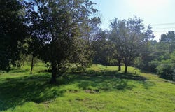 4600 HWY 96 N, Jasper, TX 75951