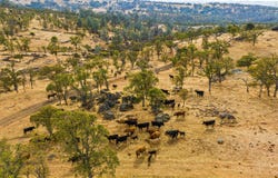 TBD Ranch Road Lanford Pacheco Road, Valley Springs, CA 95252