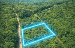Olaton Road, Olation, KY 42361