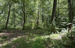 PETERS CORNER Road, SUDLERSVILLE, MD 21668