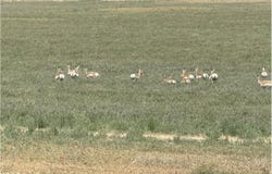 County Road 63, Gill, CO 80624
