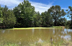 Gaylor Road, Mountain View, AR 72560