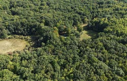 10703 N Mac Road, Irons, MI 49644