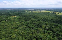 County Road 2620, Ivanhoe, TX 75447