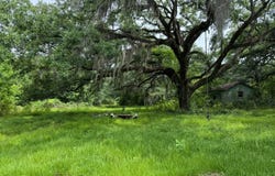 Michel Rd, Belle River, LA 70339