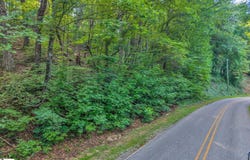 Hogback Mountain Road, Tryon, NC 28782
