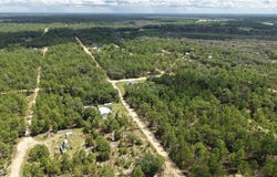 307 Himalayan St, Interlachen, FL 32148