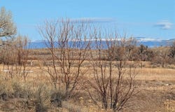 Lane 22, Byron, WY 82412