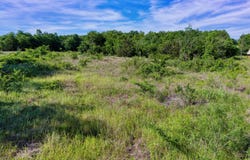 LCR 462, Mexia, TX 76667