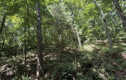 County Road 179, Dora, MO 65637