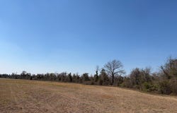 461 Currington Road, Mauk, GA 31058