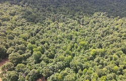 CR5, Witt Springs, AR 72686