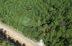 Owens Drive, Laurens, SC 29360